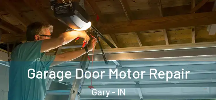  Garage Door Motor Repair Gary - IN