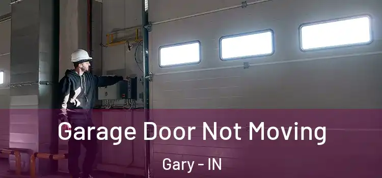  Garage Door Not Moving Gary - IN