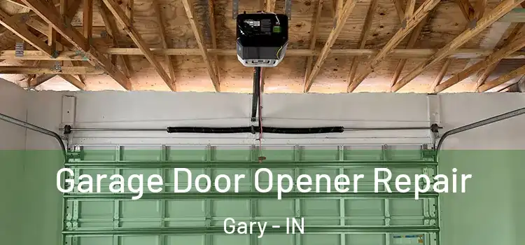  Garage Door Opener Repair Gary - IN