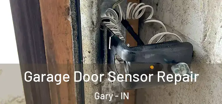 Garage Door Sensor Repair Gary - IN