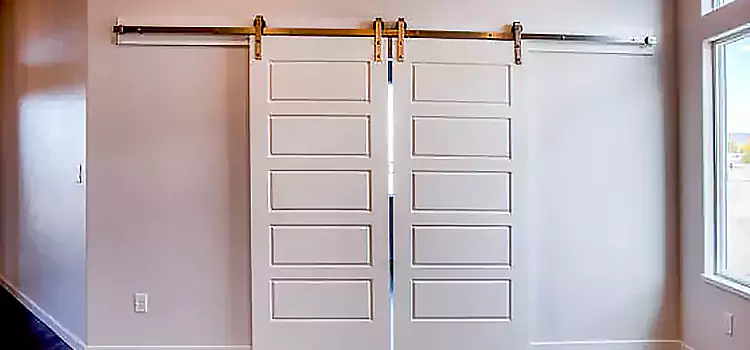 Glass Barn Door with Installation Hardware Kit Gary