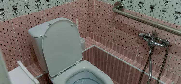 Meeting Diverse Needs With Accessible Restroom Solutions in Gary, IN