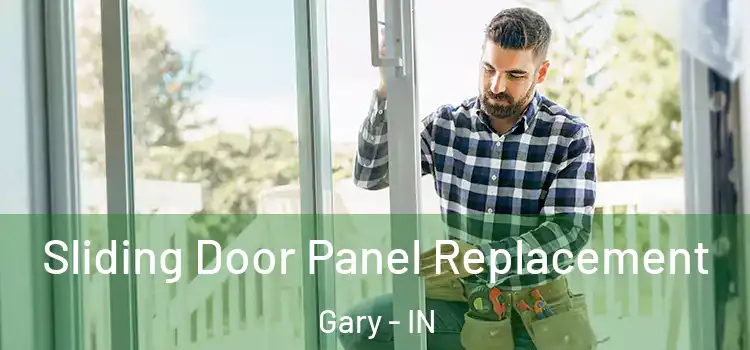  Sliding Door Panel Replacement Gary - IN